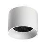 Светильник накладной NOVOTECH GEMINI 371009 NV-371009